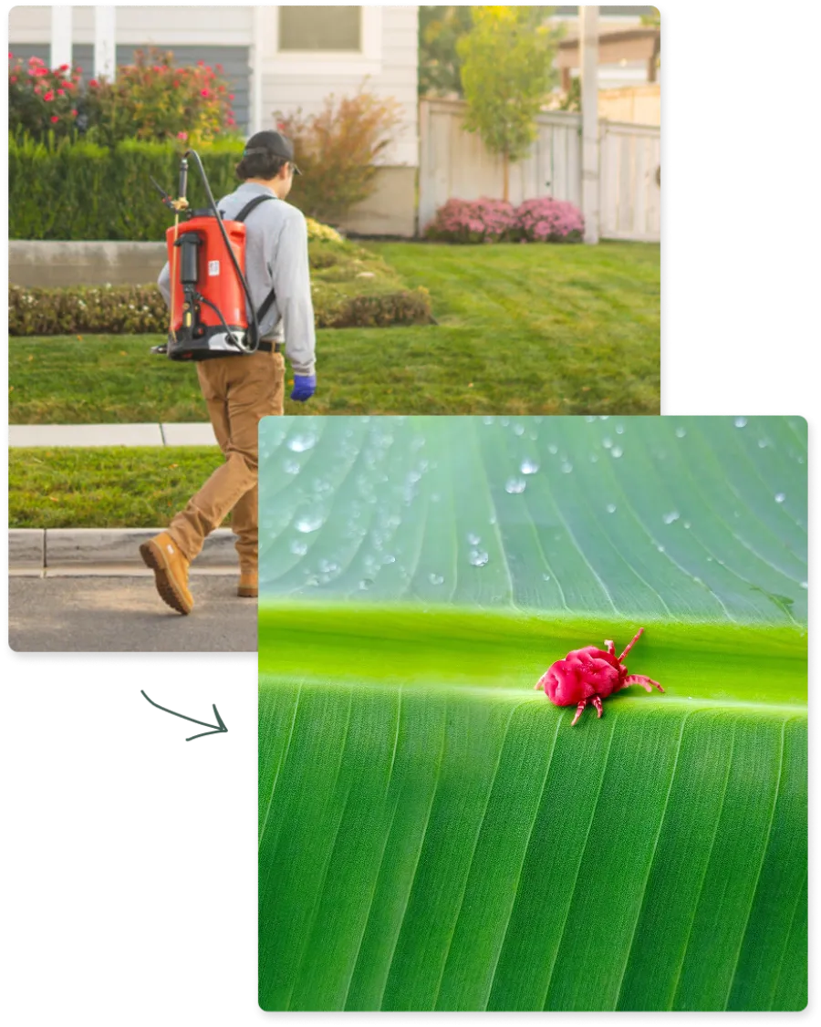 a person walking down a sidewalk