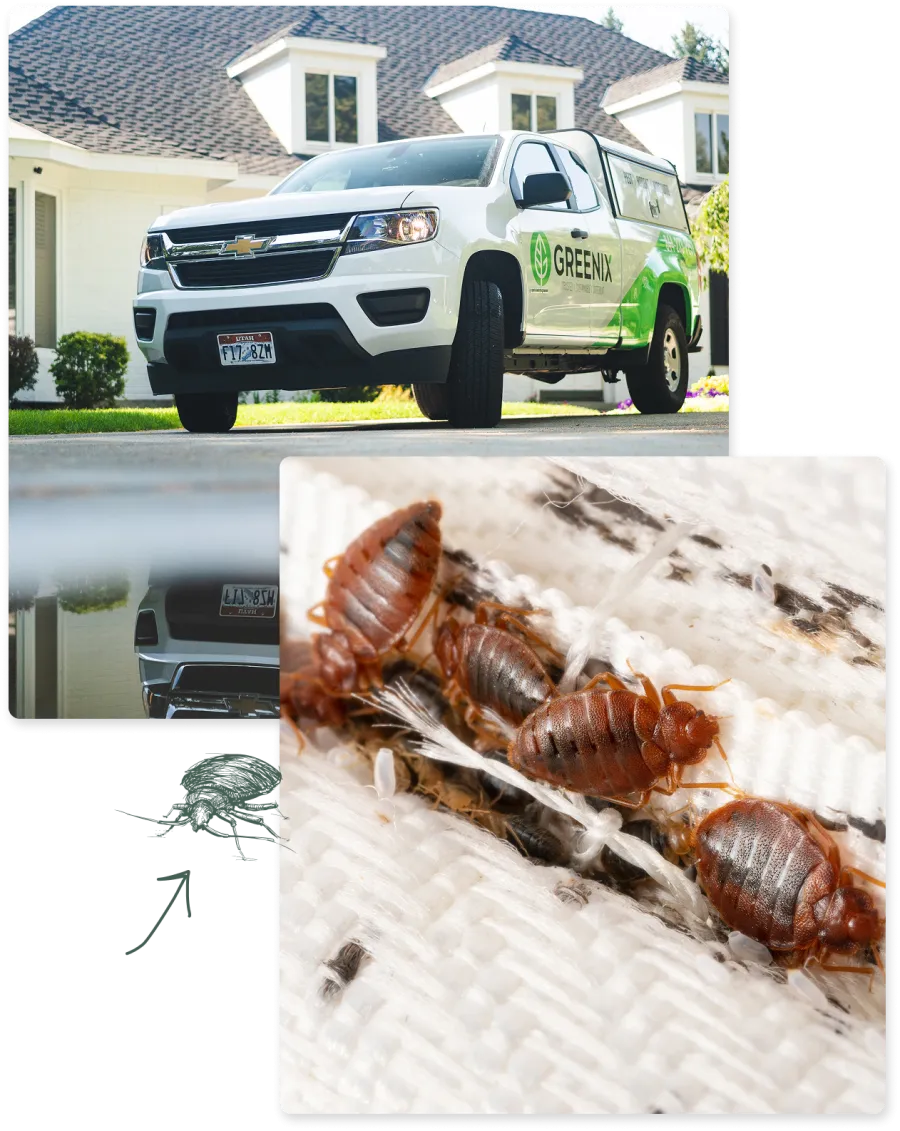 White Greenix pest control truck parked outside a house with close-up of bed bugs on fabric.