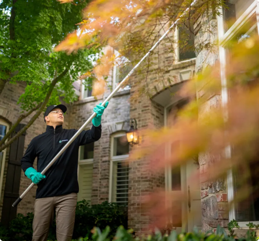 Pest Technician eave sweeping