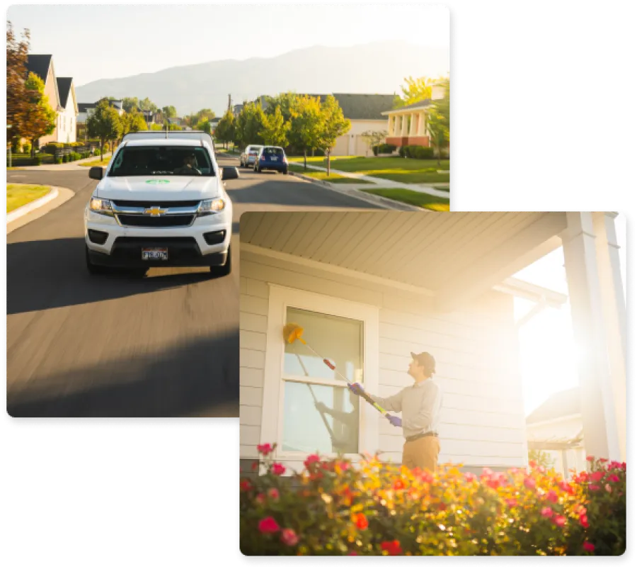 Man cleaning house windows with a duster outside a white home in bright sunlight with flowers in foreground