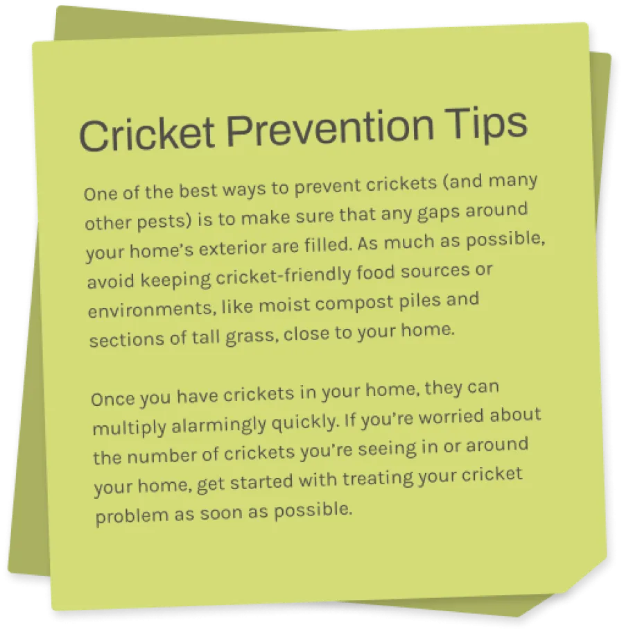 a sticky note with information about crickets
