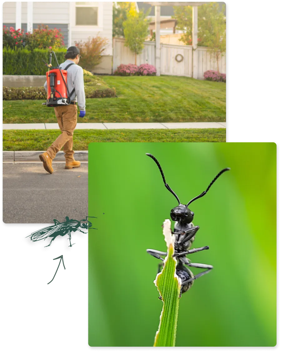 a person walking down a sidewalk