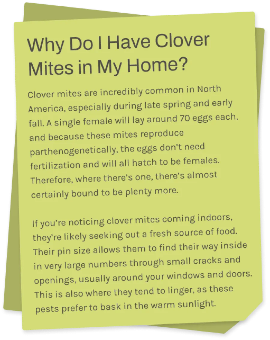 a sticky note with information about clover mites