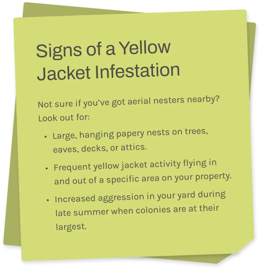 Sticky note listing signs of a yellow jacket infestation including nests, activity, and aggression tips.