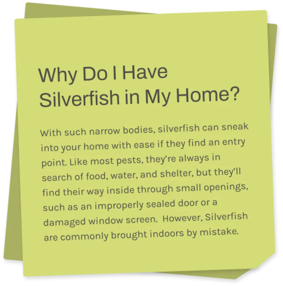a sticky note with information about silverfish