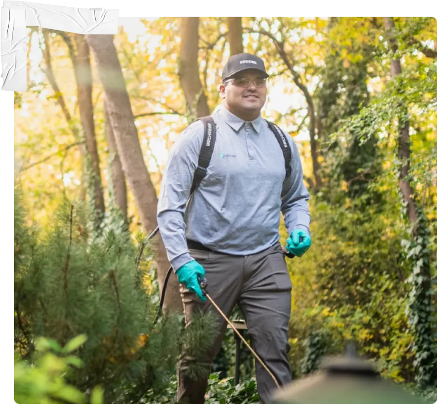 a person walking through the woods