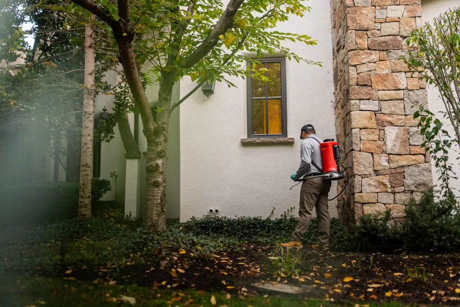 Gardener spraying pesticide with backpack sprayer near a stone and stucco house in leafy yard.