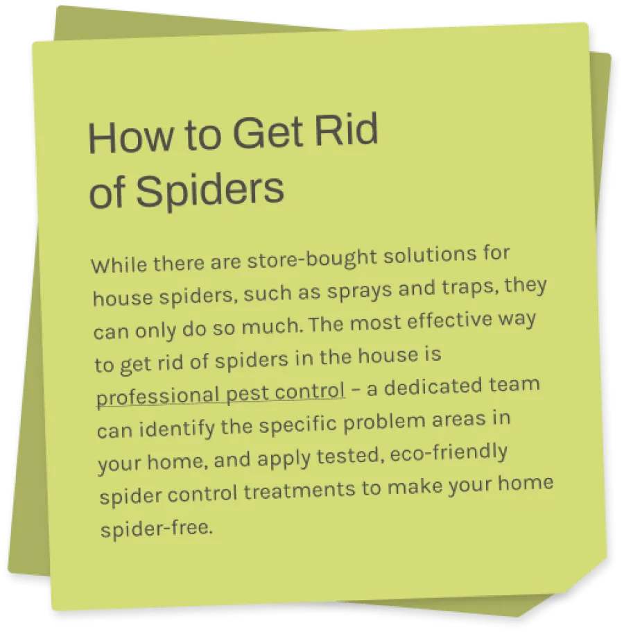 a sticky note with information about spiders