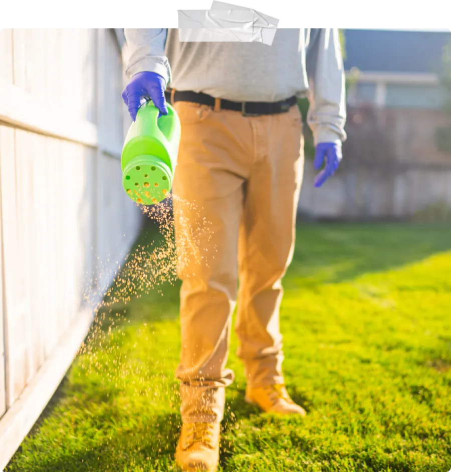 Person spreading fertilizer with green spreader on a green lawn wearing gloves and outdoor clothes