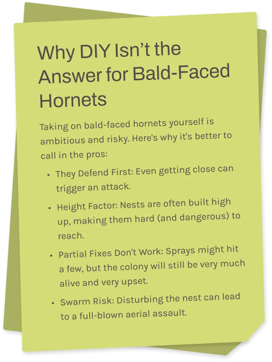 Sticky note explaining why DIY is risky for bald-faced hornet control and why professionals are better.