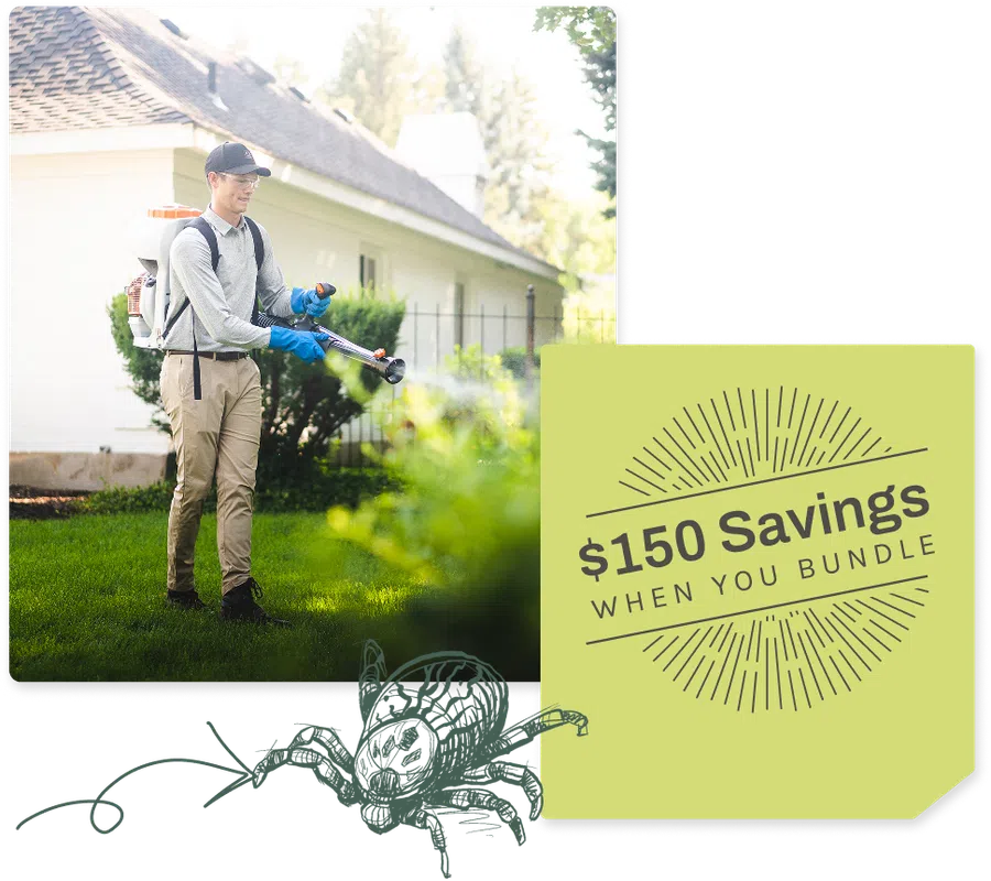 Man wearing protective gear spraying insecticide on lawn near house on sunny day for pest control