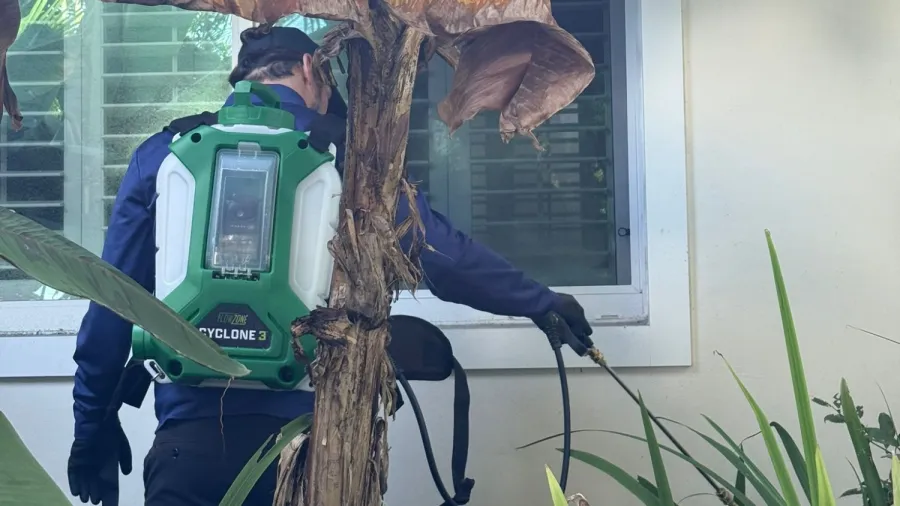 Pest control worker spraying insecticide on plants near a house window wearing protective gear and backpack sprayer.