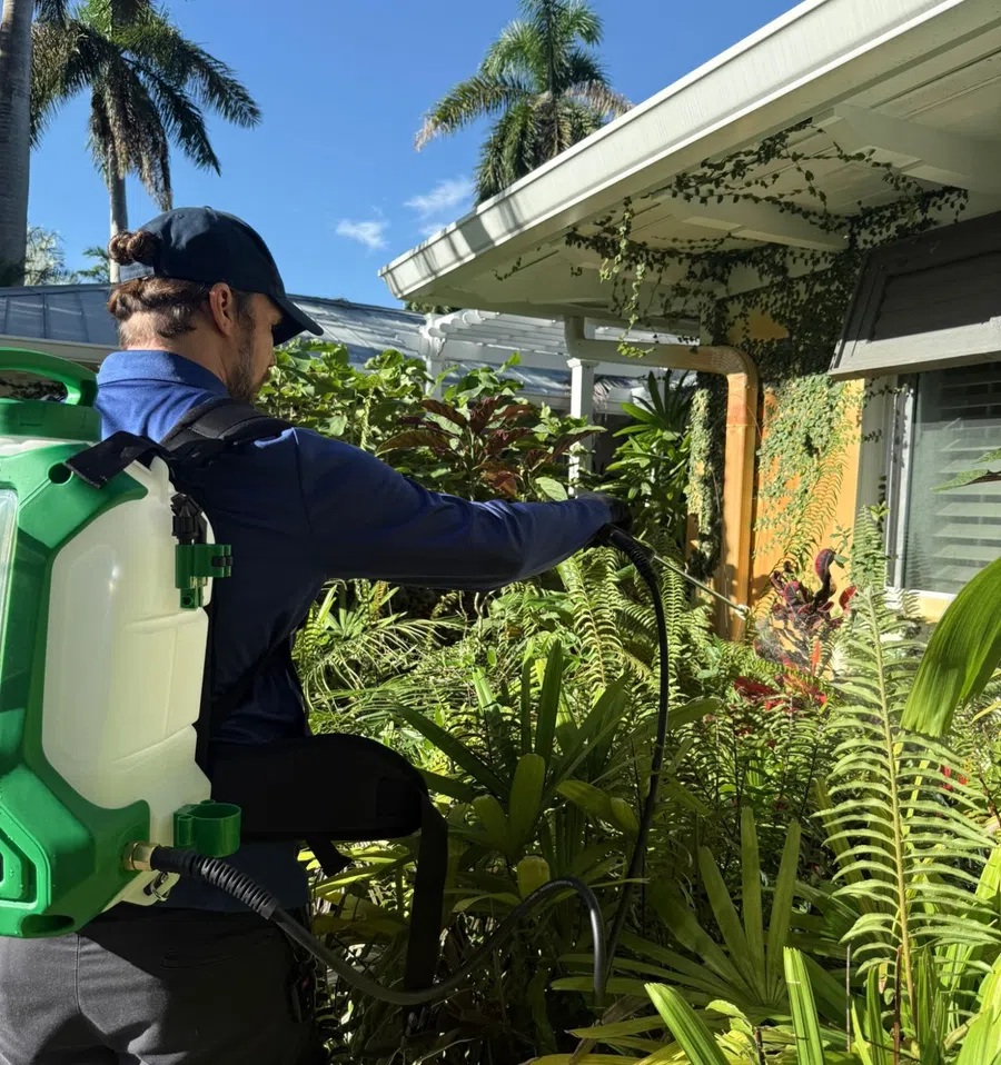 Man wearing backpack sprayer applying treatment to plants in sunny garden with palm trees and house background