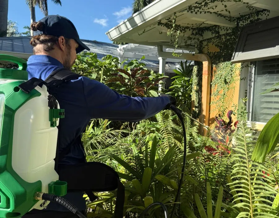 Man wearing backpack sprayer treating plants and greenery outside a sunny house with palm trees in background