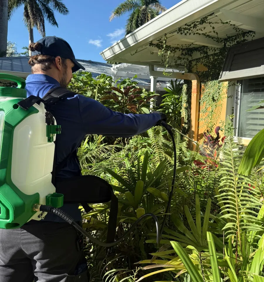 Man wearing backpack sprayer applying treatment to plants in sunny garden with palm trees and house background
