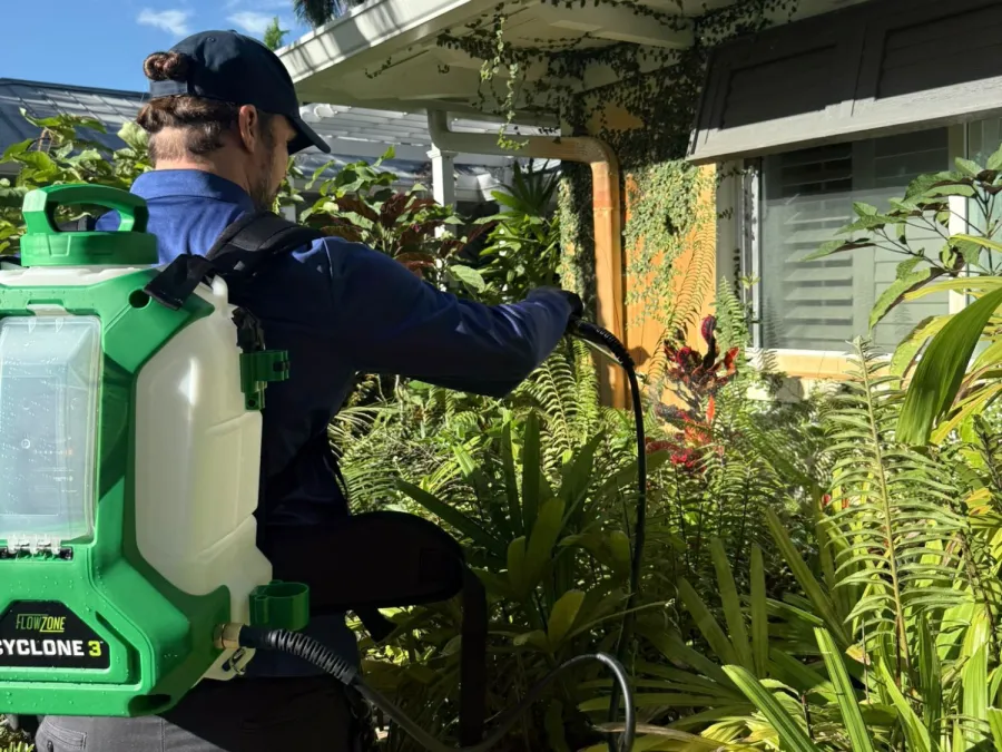Gardener wearing backpack sprayer tending to lush green plants outside a house under clear blue sky.