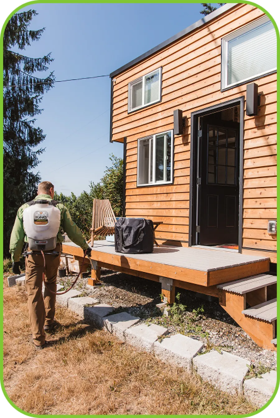 Person spraying weeds with a backpack sprayer near a wooden house deck on a sunny day