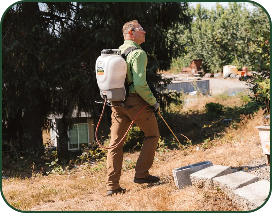 Man wearing protective gear spraying herbicide on dry grass in a backyard garden area on a sunny day.