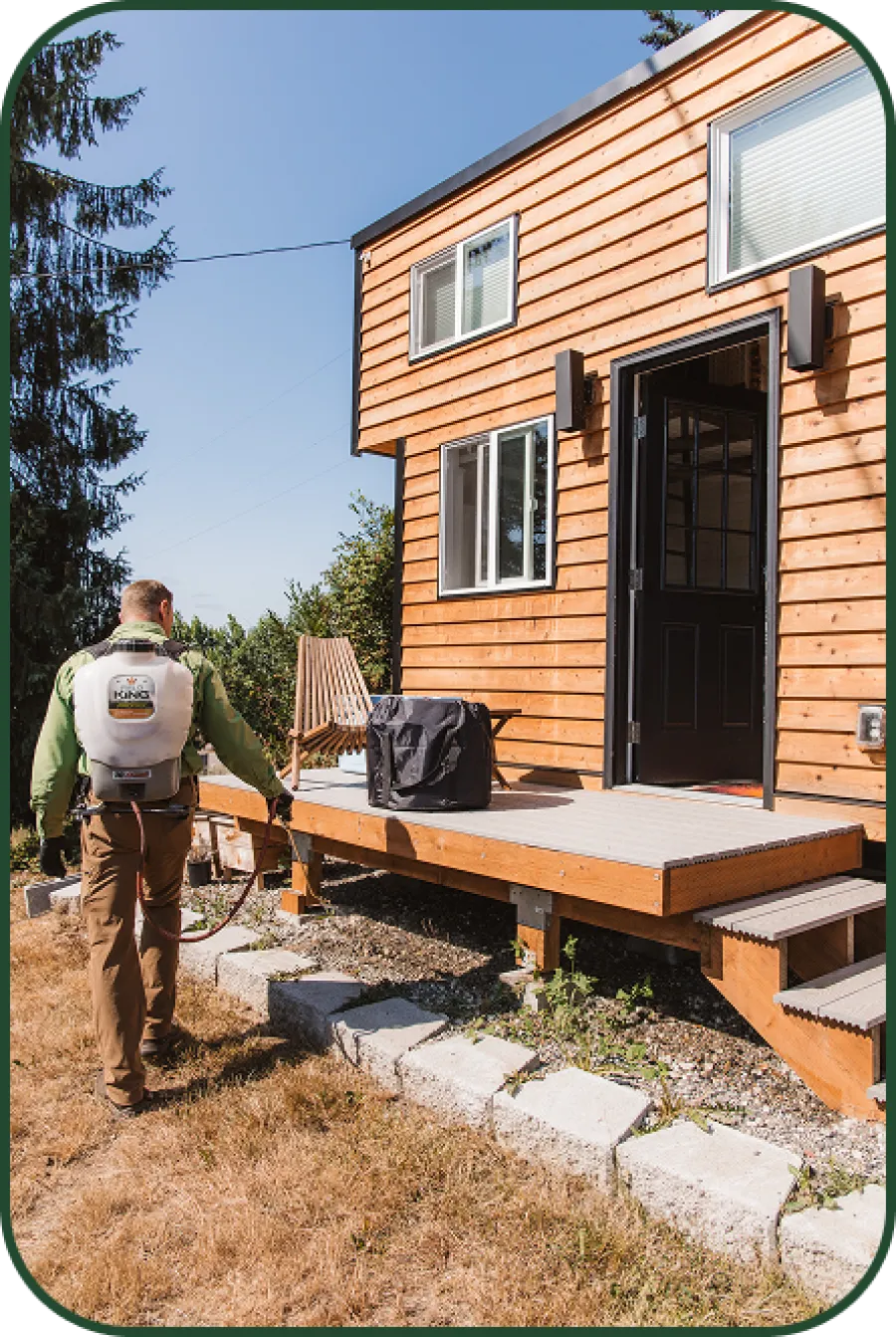 Person spraying weed control near wooden porch of modern house on dry lawn on sunny day