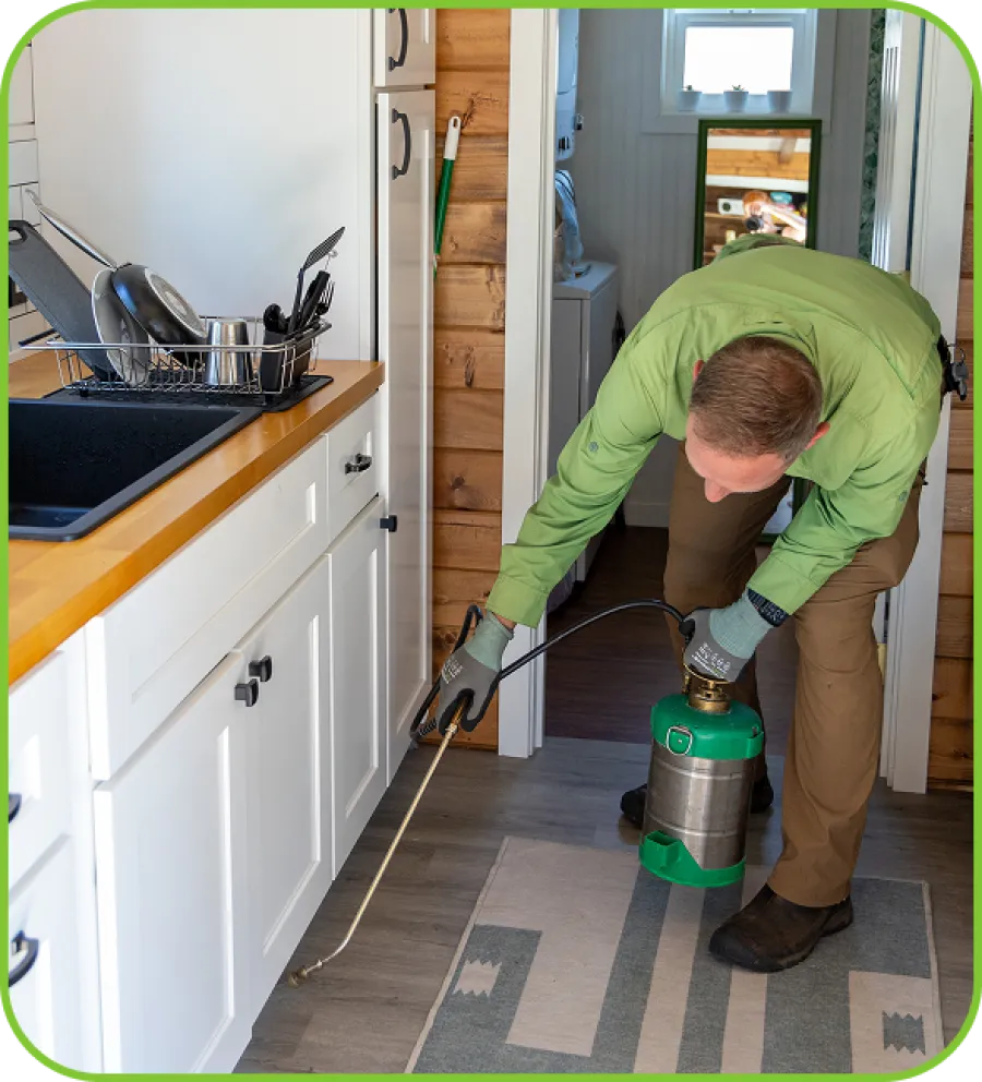 Pest control technician spraying insecticide along kitchen floor in a modern home with wooden accents.