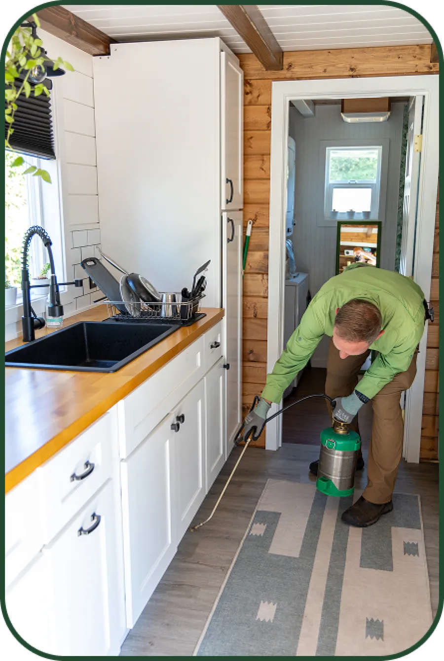 Professional pest control technician spraying insecticide in a modern kitchen with white cabinets and wooden countertops.