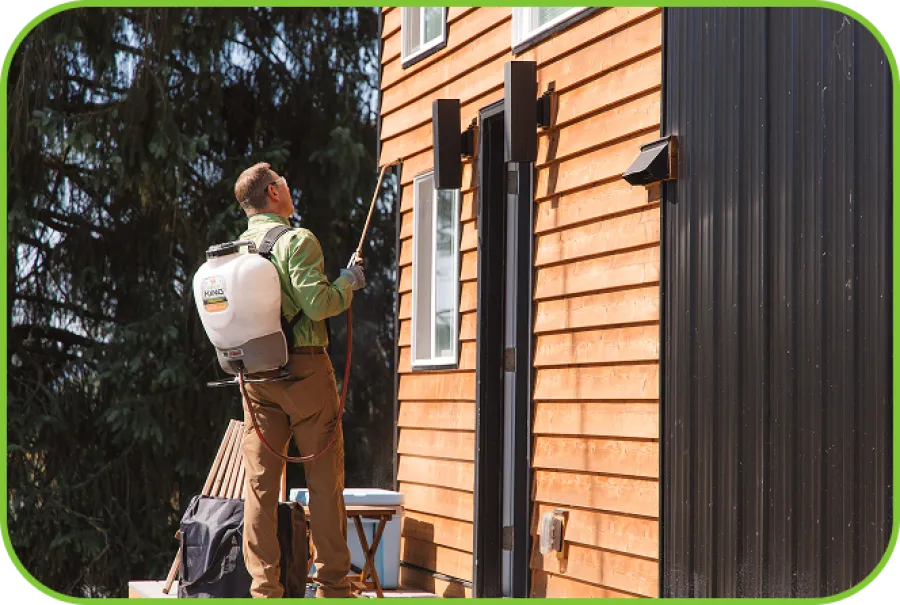 Worker spraying pesticide on wooden siding of house surrounded by trees on a sunny day