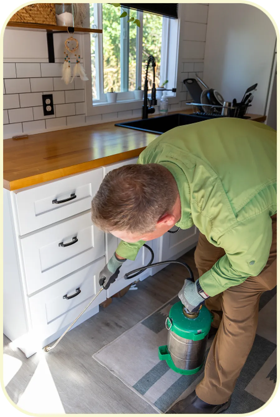 Pest control technician spraying insecticide under kitchen cabinets wearing gloves and green shirt.