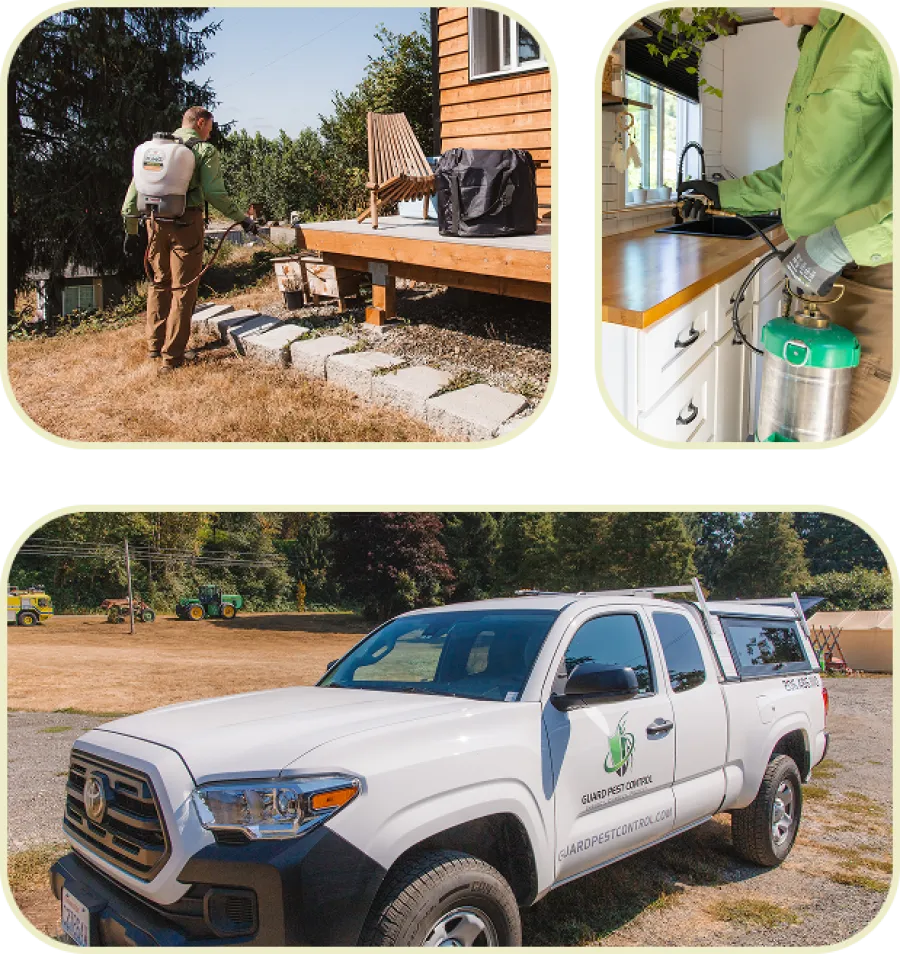 Pest control technician spraying insecticide outside a house and inside kitchen, with service truck parked outdoors.