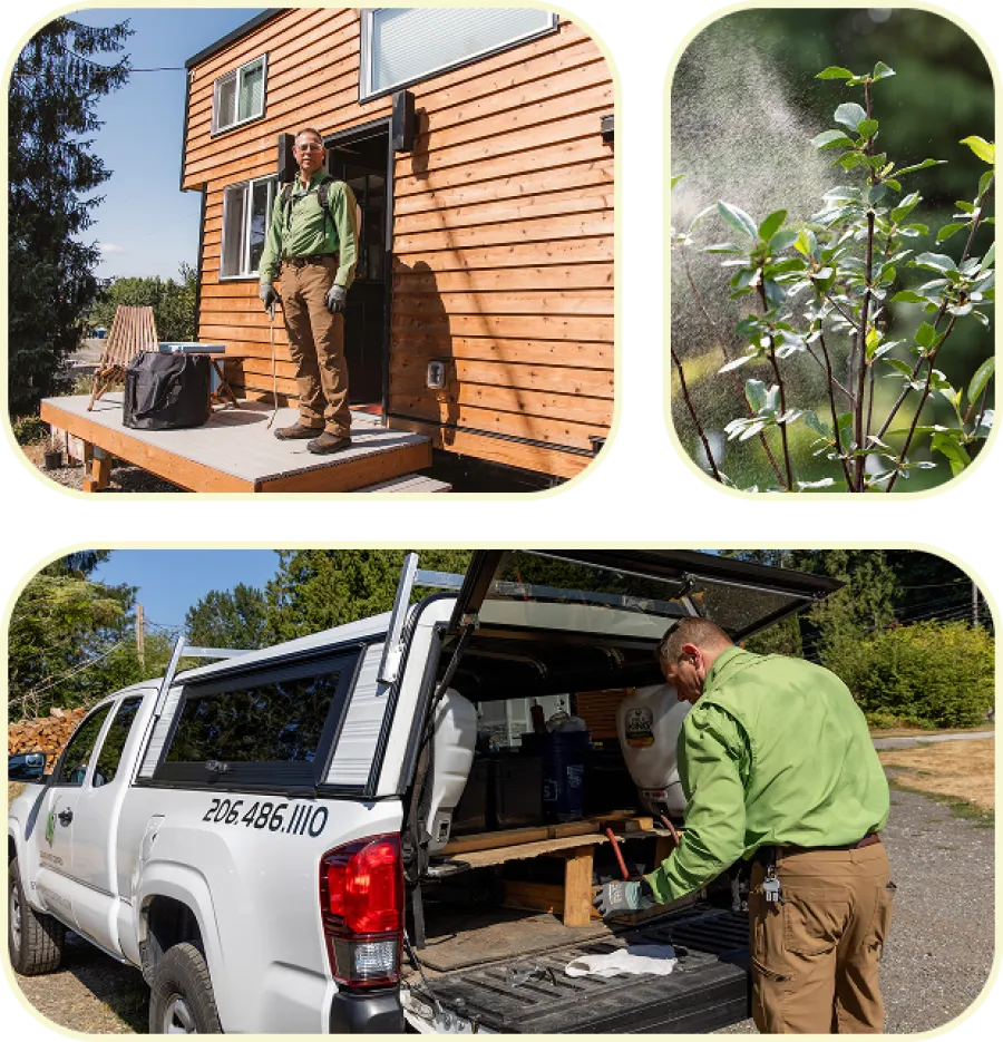 Professional pest control expert preparing equipment near truck and sustainable wooden house on sunny day.