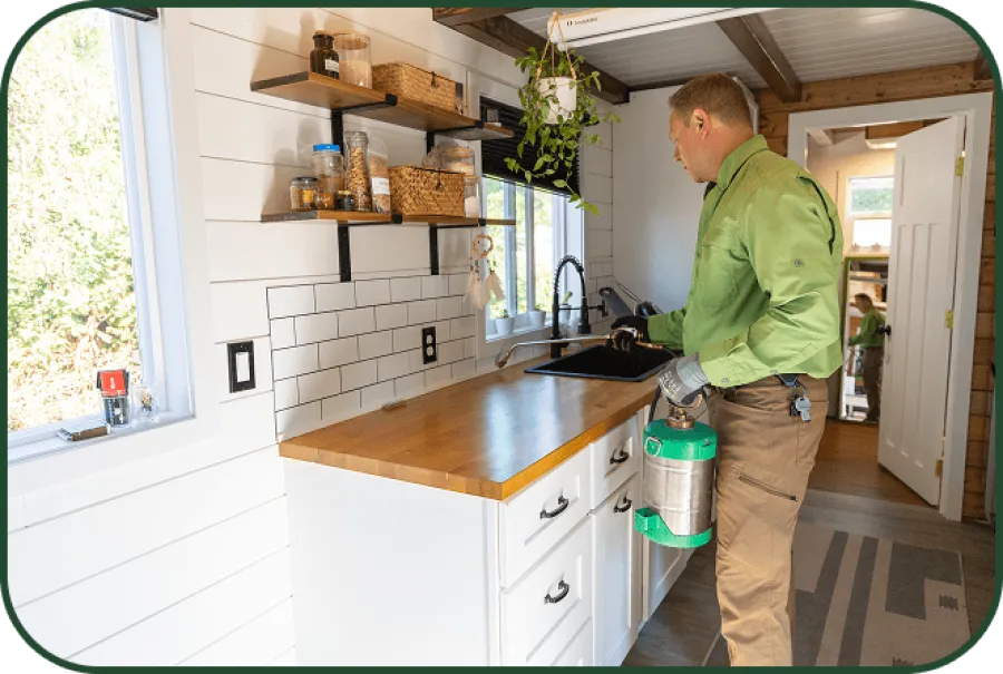 Technician in green shirt inspecting kitchen sink with pest control equipment in modern farmhouse kitchen