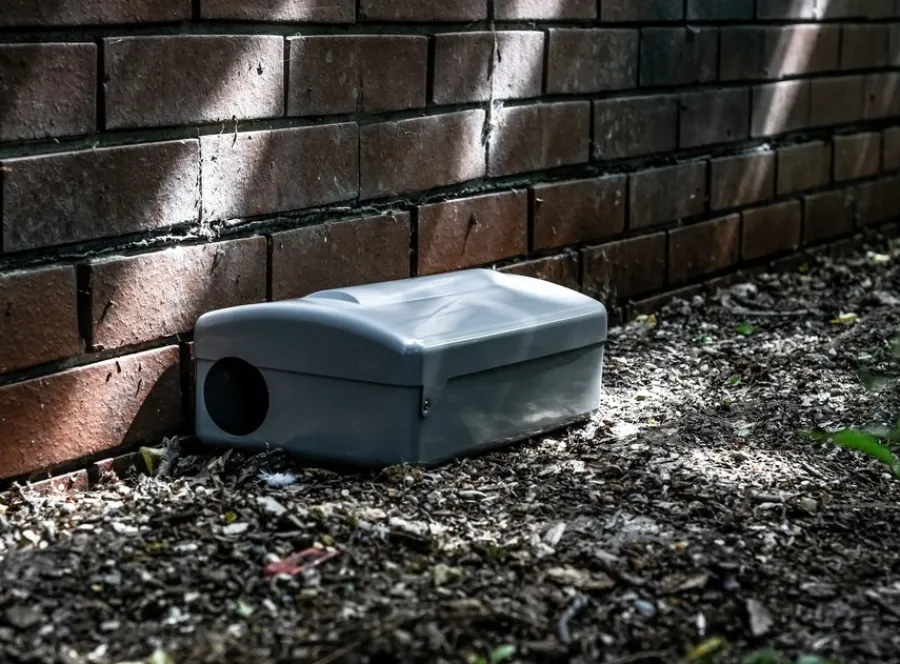 Gray plastic bait station placed on mulch near a red brick wall in outdoor shaded area
