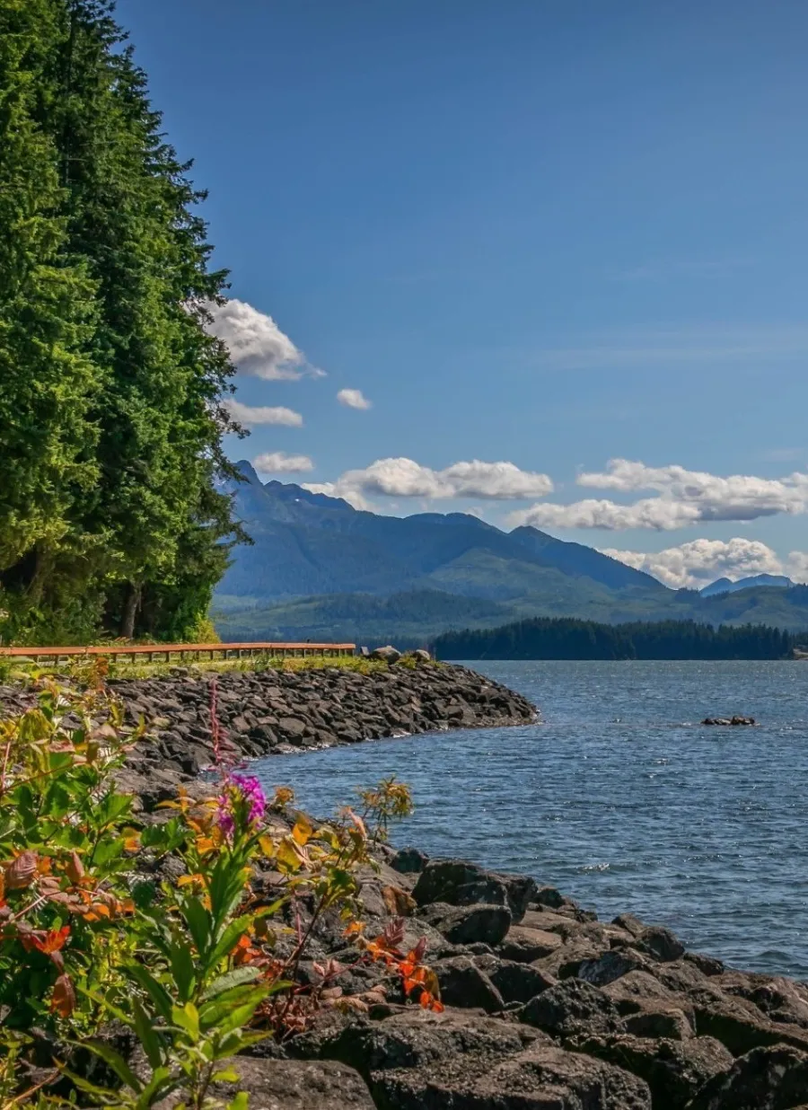 a body of water with trees and mountains in the background