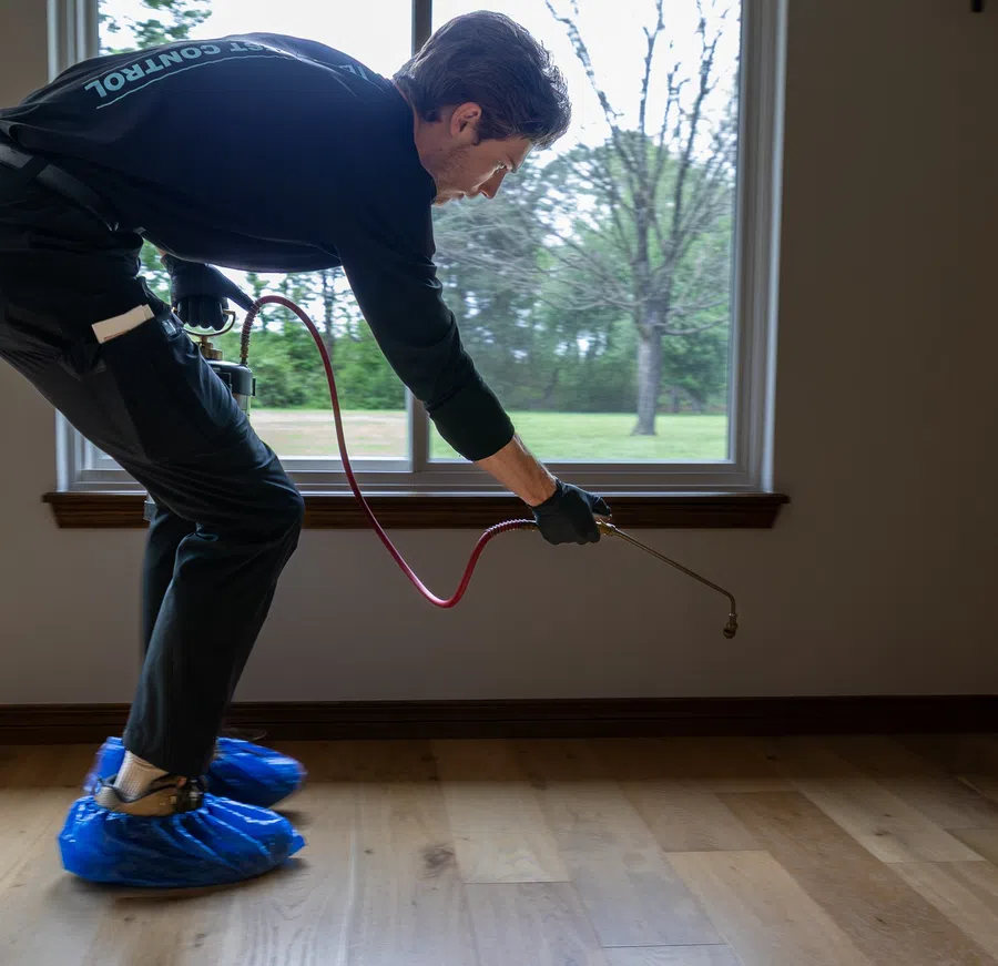 Pest control technician spraying pesticide on hardwood floor inside a home with window view outside