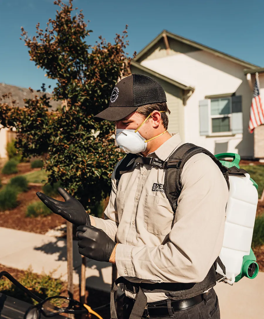 Pest control worker wearing protective mask and gloves prepares equipment outdoors near residential home.