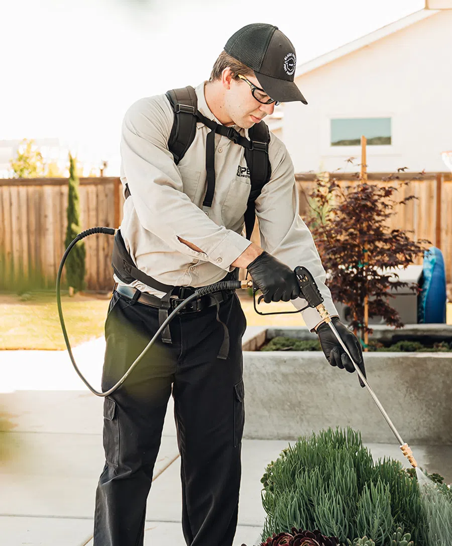 Pest control technician spraying insecticide on garden plants wearing uniform and protective gloves outdoors.