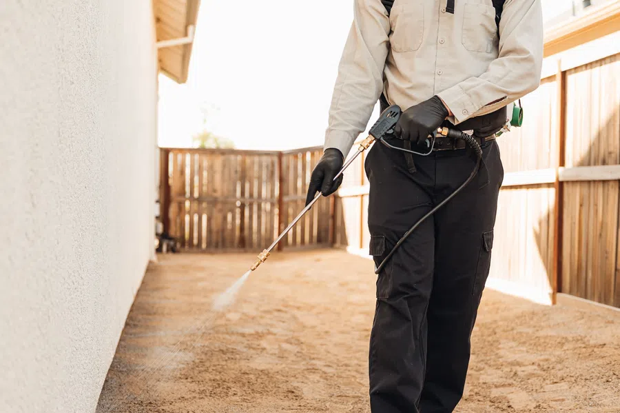 Pest control technician spraying insecticide outside a house near wooden fence on dirt ground.
