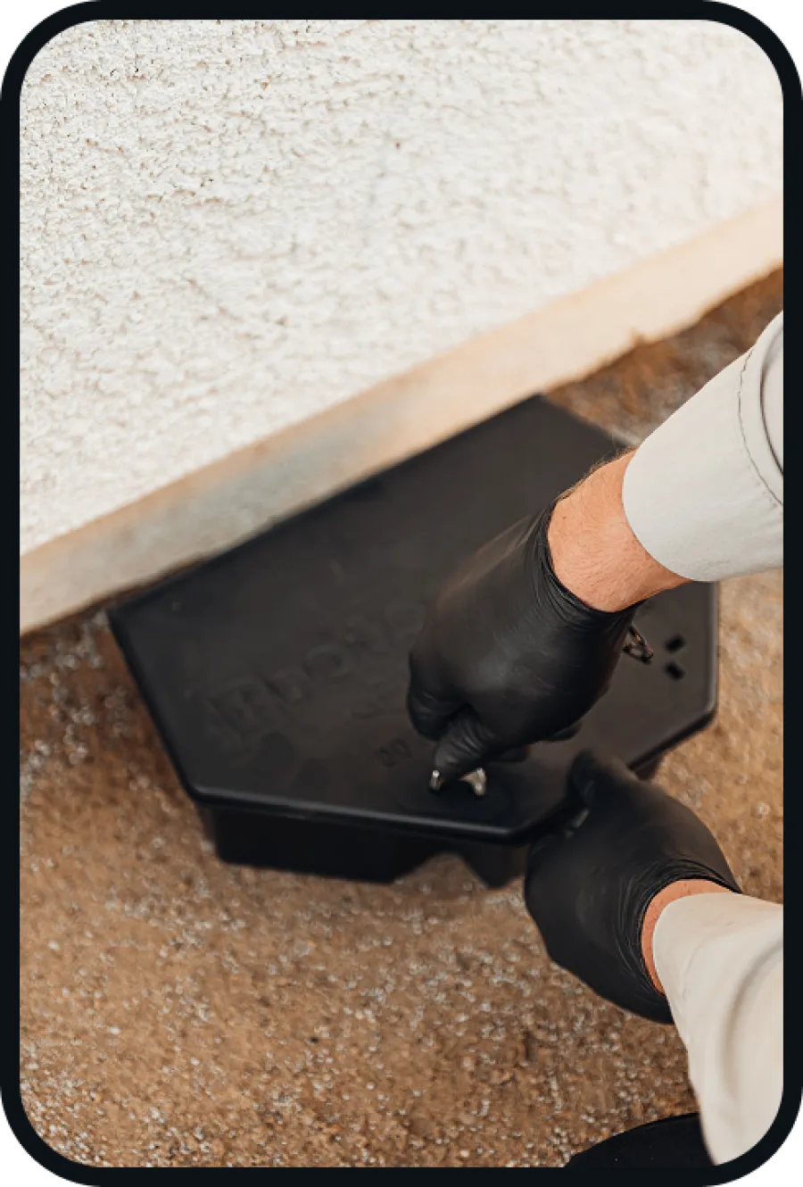 Technician wearing black gloves installing or inspecting a black pest control bait station outdoors near a building.