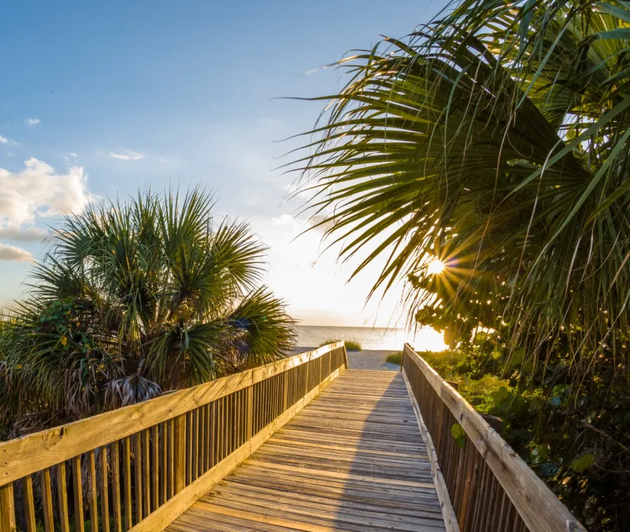 Wooden boardwalk leading through lush greenery toward a bright sunny beach on a clear day with blue sky and clouds