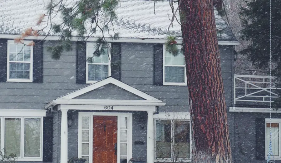 a house with a tree in front