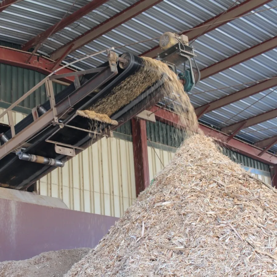 Industrial conveyor belt depositing large pile of wood chips inside a warehouse with metal roofing.