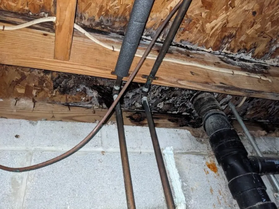 Wooden ceiling joists with water damage and mold near plumbing pipes in a basement corner with concrete block wall.