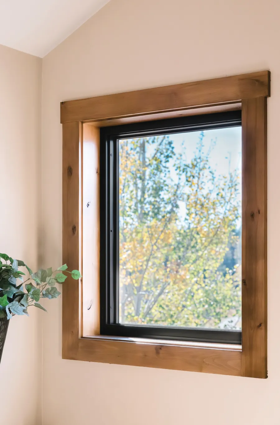 Wood framed Infinity Picture Fiberglass window with black trim showing blurred view of trees under clear sky and plant nearby indoors