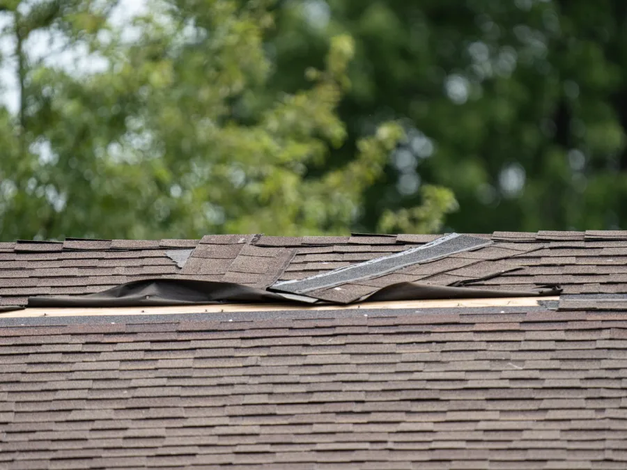damaged roof shingles
