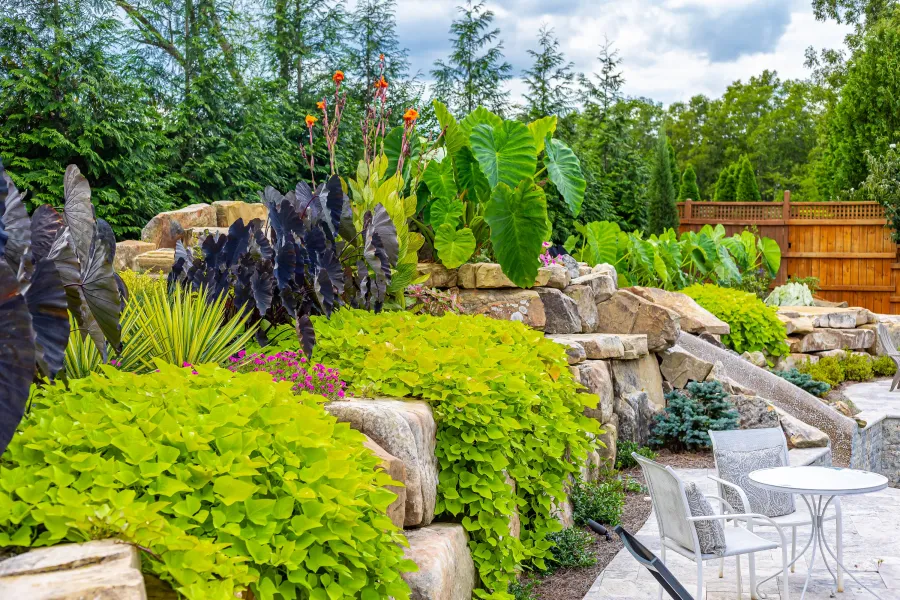 a garden with a waterfall