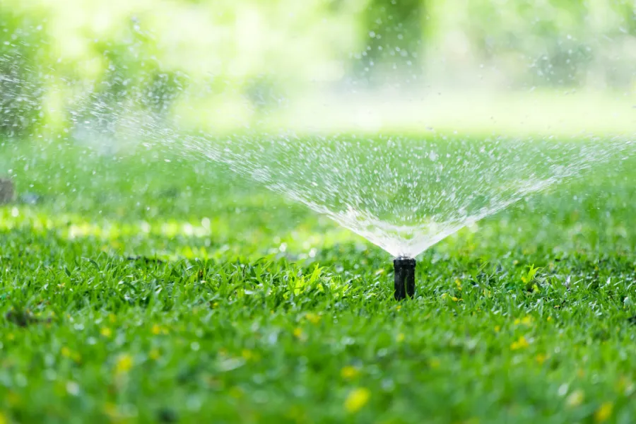 a close-up of a sprinkler spraying water