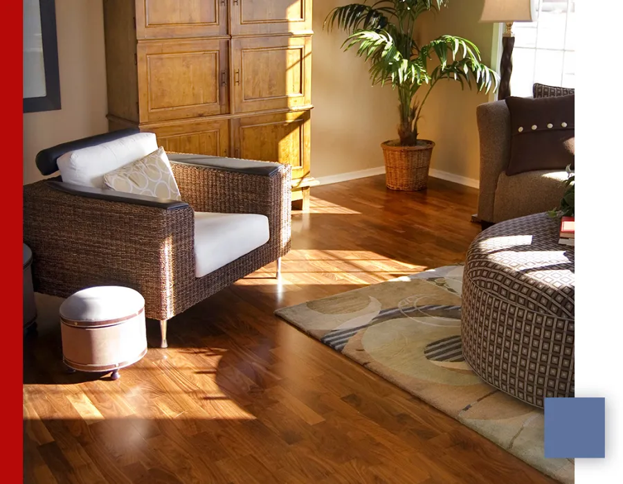 Sunlit living room with wicker armchair, patterned ottoman, wooden cabinet, potted plant, and hardwood floor.