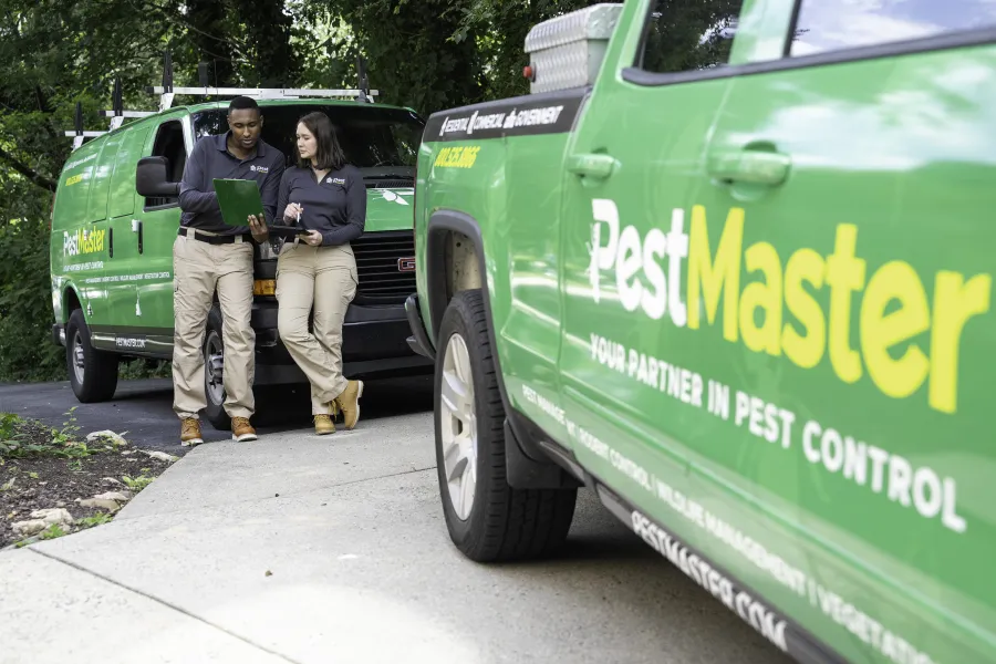 Two PestMaster pest control workers reviewing a clipboard beside green company vehicles in a residential area.