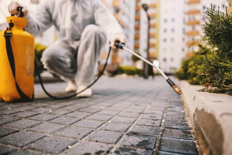 a person with a hose and a dog on a leash