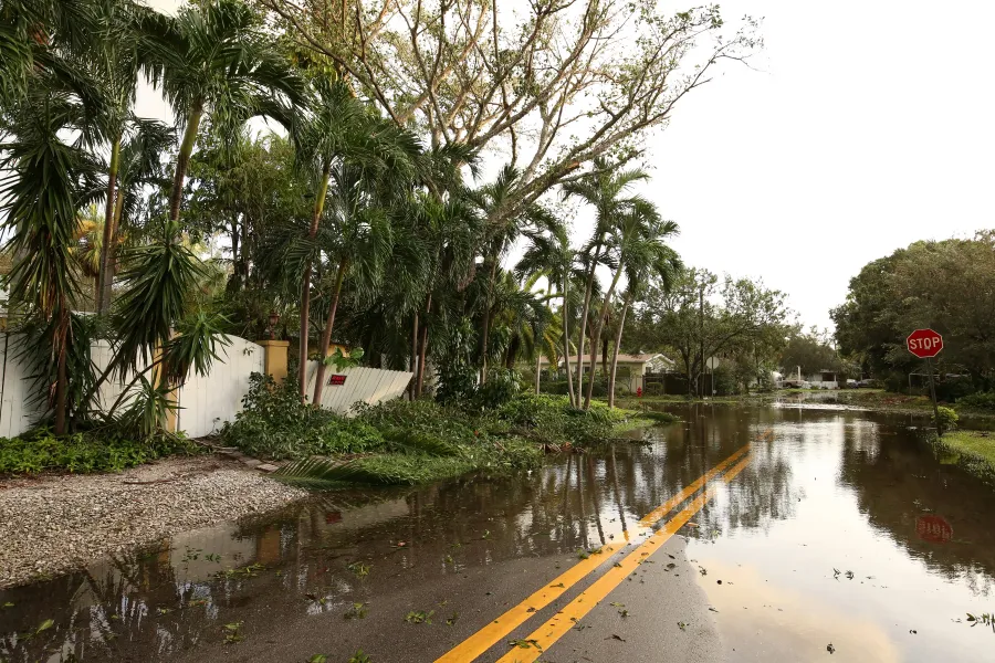 a flooded street with palm trees