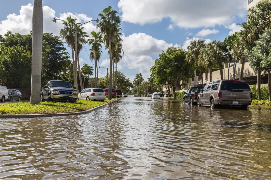 a flooded street with cars and trees